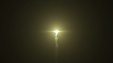 Yeşil havai fişek arka planı siyah tatil