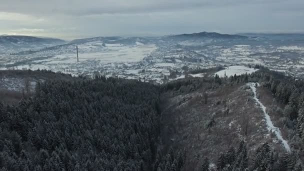 Ptaka forest hills i wiejski wieś w zimie — Wideo stockowe