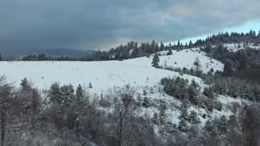 Orman ve kış tepelerde üzerinde uçuş