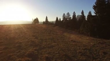 Tepeler ve günbatımı, yaban hayatı koruma ormanı üzerinde uçan