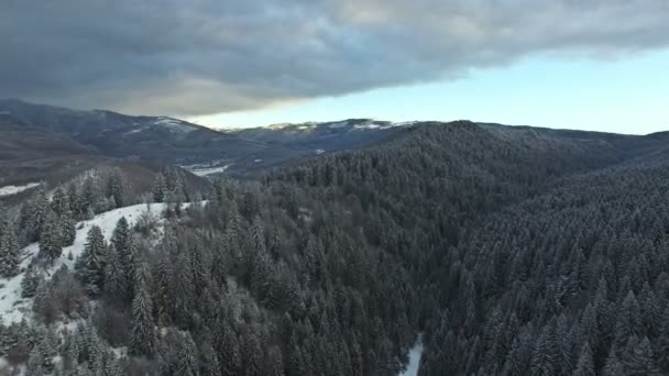 飞越白雪皑皑的小山和森林 — 图库视频影像