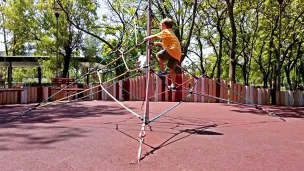 Little boy climbing on ropes Video Clip