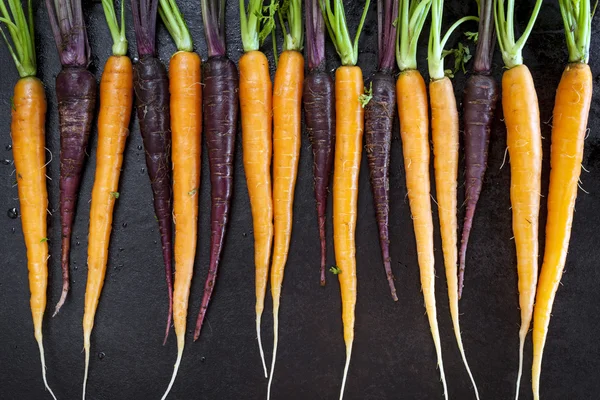 Baby Carrots in a Row Horizontal Top View — Stock Photo, Image