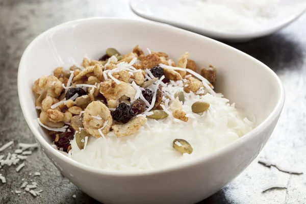 Hindistan cevizi ile yoğurt müsli veya yoğurt granola. — Stok fotoğraf