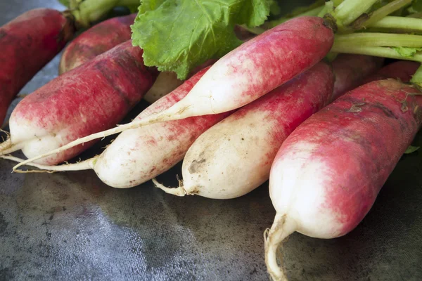 Bunch of Radishes over Dark Slate — Stock Photo, Image