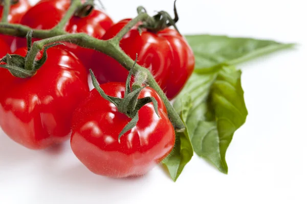 Fachwerk-Kirschtomaten mit Basilikumblättern über Weiß — Stockfoto