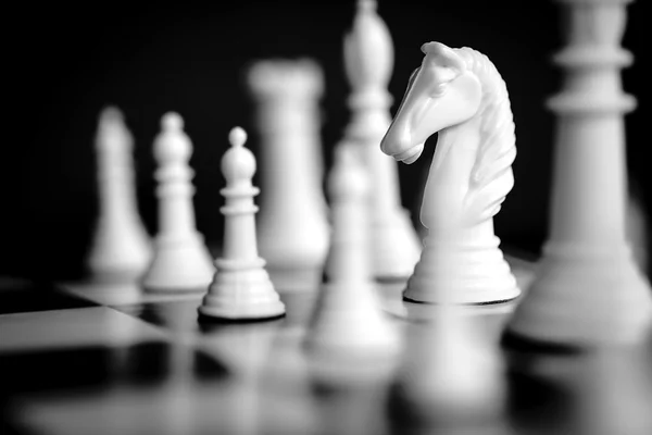 Chess White Knight — Stock Photo, Image