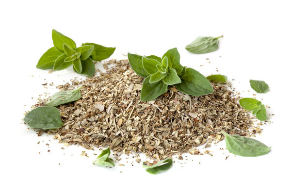 Oregano Fresh and Dried Isolated on White