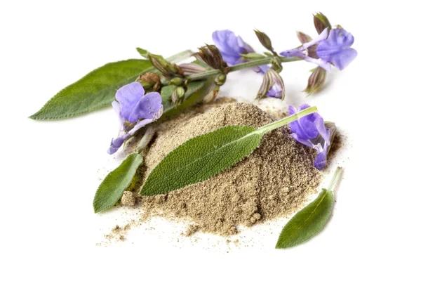 Salvia fresca e secca isolata su bianco — Foto Stock