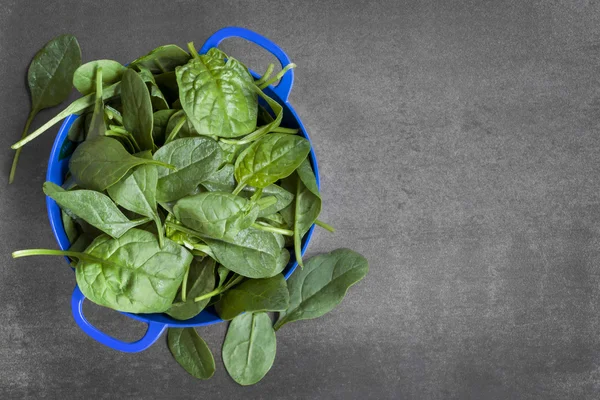 Spinach Leaves in Colander — Stock Photo, Image