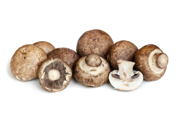 Swiss Brown Mushrooms Isolated on White — Stock Photo, Image