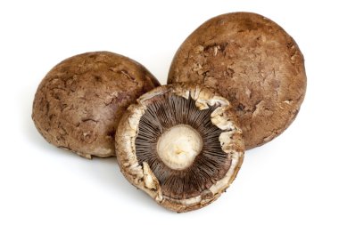 İzole üç kahverengi mantar