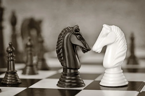 Chess Knights Head to Head — Stock Photo, Image