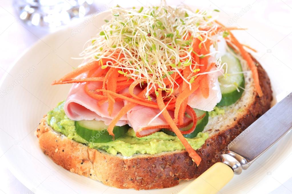 Healthy Open Sandwich with Sprouts