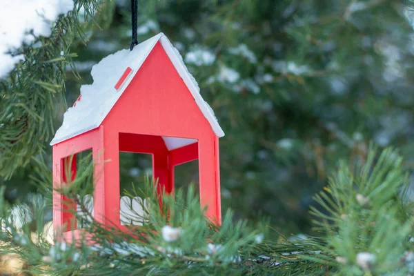 Comedero Para Alimentar Aves Invierno Cuelga Del Árbol Navidad — Foto de Stock