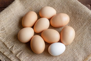 Çuval bezli taşralı tavuk yumurtaları, üst manzara..