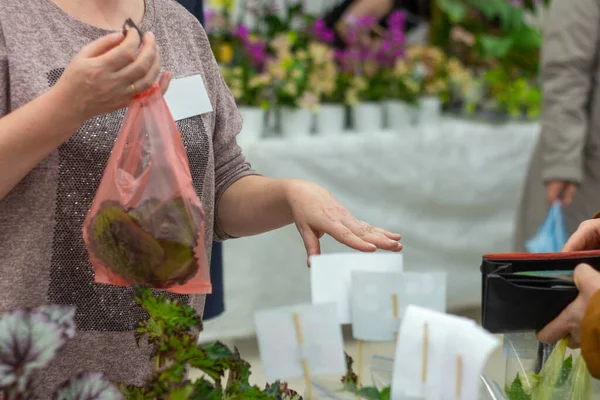 Pembeli dan penjual saling tukar barang dan uang tunai pada saat pembelian di konter bunga. — Stok Foto