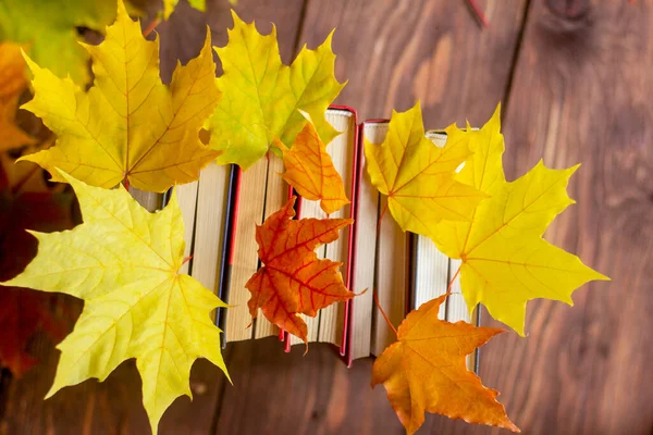 Una pila de libros con hojas brillantes de otoño entre las páginas en una mesa rústica de madera. — Foto de Stock