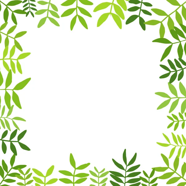 Ramos com folhas verdes. Ilustração vetorial . —  Vetores de Stock
