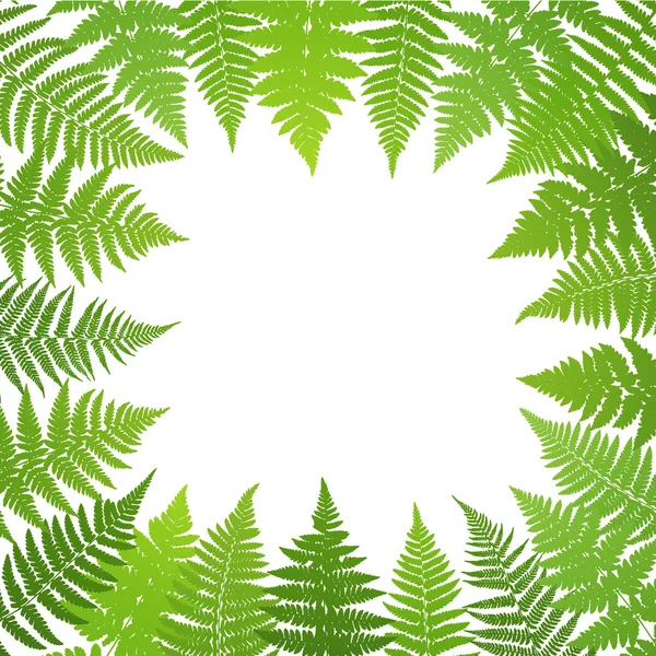 Plakat dżungli. Paproć liść paproci lub palmy tło. Ilustracja wektorowa — Wektor stockowy