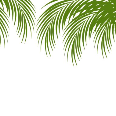 Palm leaf silhouettes background. Tropical leaves. Vector illustration clipart
