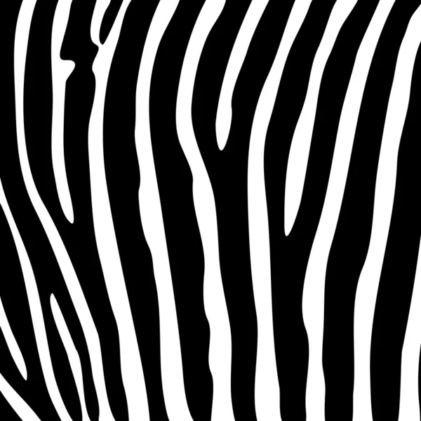 Black and white zebra striped background — Stock Vector