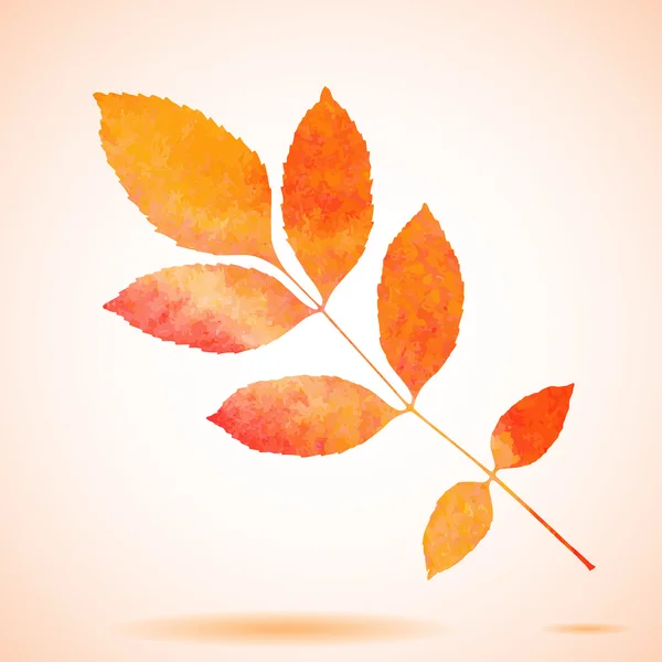 Orange watercolor painted vector ash tree leaf — Stock Vector