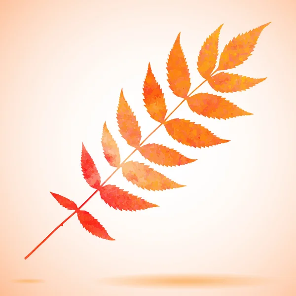 Orange watercolor painted leaf — Stock Vector