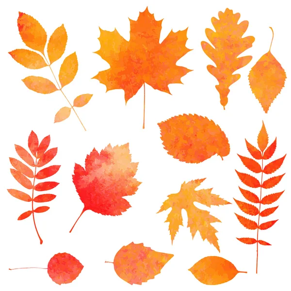 Watercolor collection of beautiful orange autumn leaves isolated on white background — Stock Vector