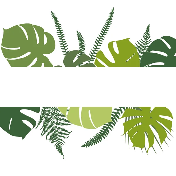 Fundo tropical com folhas de samambaia e monstera — Vetor de Stock