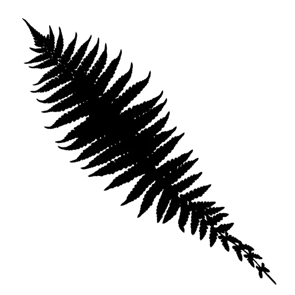 Silhouette FERN — Image vectorielle