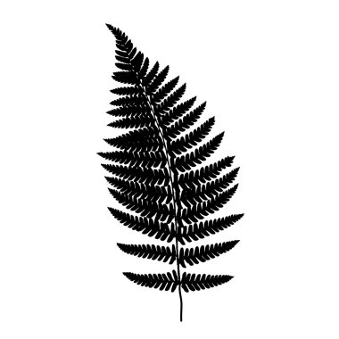 Fern yaprak balck siluet