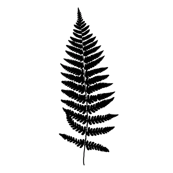 Fern frond svart siluett. Vektorillustration. Skogskoncept. — Stock vektor