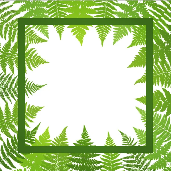 丛林的海报。蕨叶背景。矢量图. 矢量图形