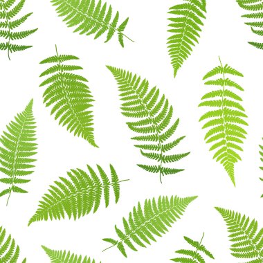 Fern yaprak siluetleri seamless modeli. Vektör çizim