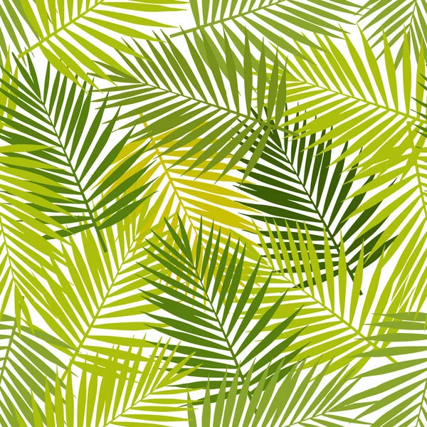 棕榈叶轮廓无缝模式。矢量图。热带树叶. 矢量图形