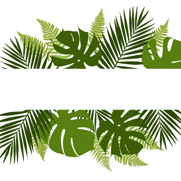 Fundo de folhas tropicais com bandeira branca. Palma, samambaias, monsteras. Ilustração vetorial Ilustração De Bancos De Imagens