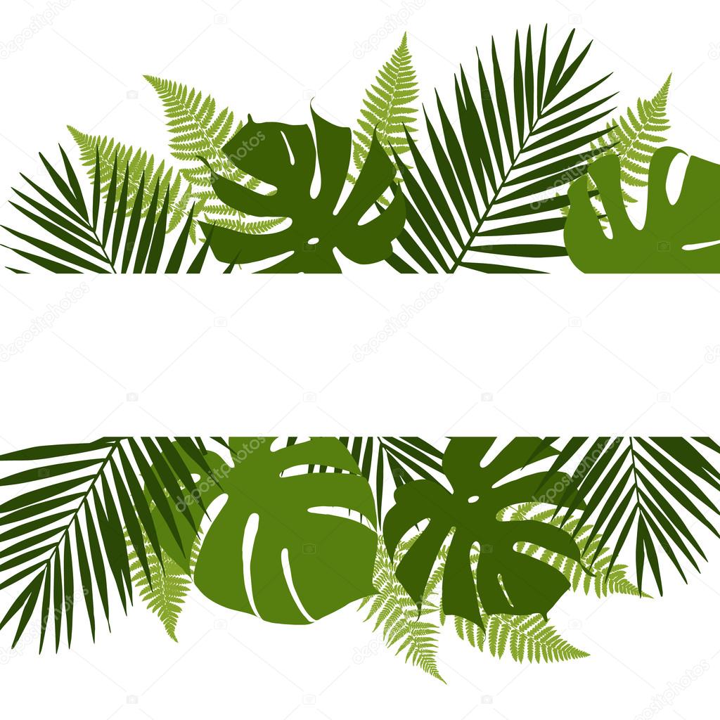 Tropical leaves background with white banner. Palm,ferns,monsteras. Vector illustration