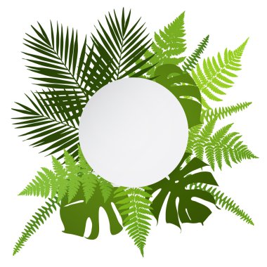 Tropical leaves background with white round banner. Palm,ferns,monsteras. Vector illustration clipart