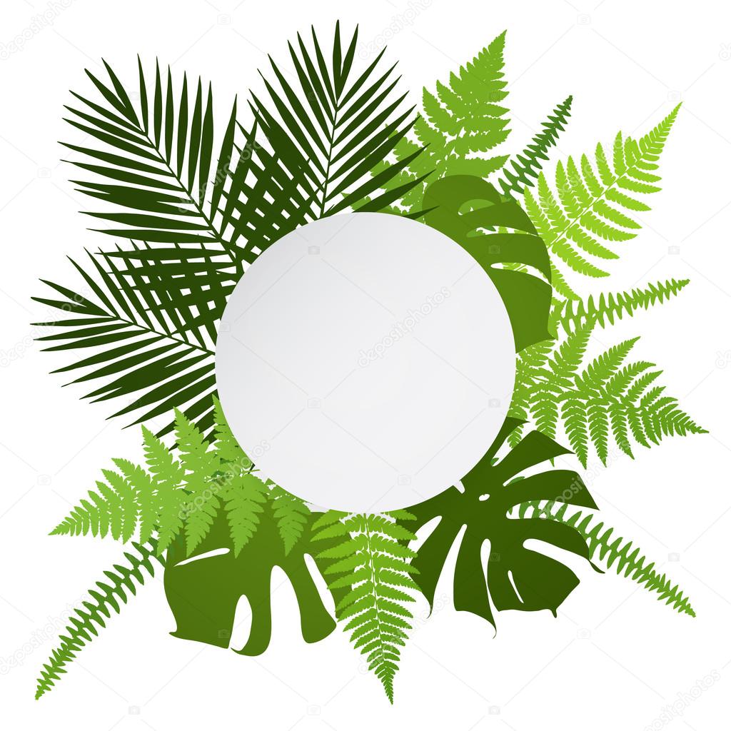 Tropical leaves background with white round banner. Palm,ferns,monsteras. Vector illustration