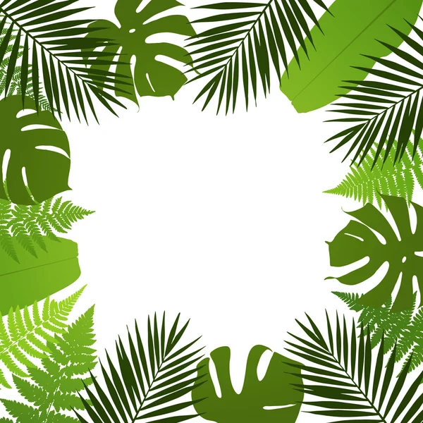 Foglie tropicali sfondo. Cornice con palma, felce, monstera e foglie di banana. Illustrazione vettoriale — Vettoriale Stock