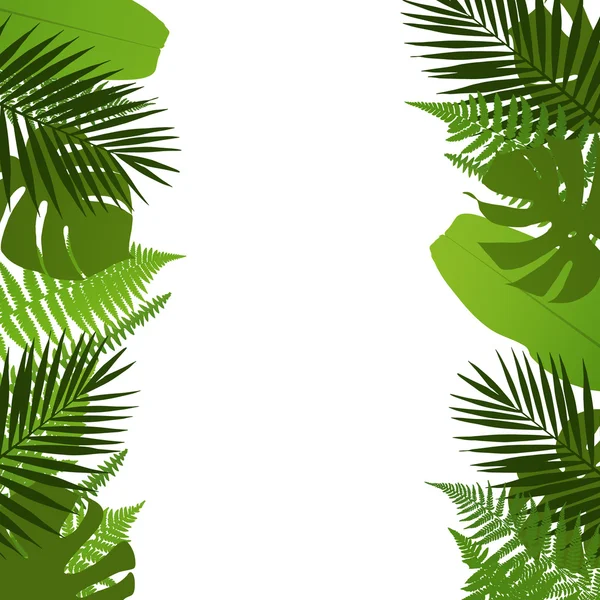 Tropikal arka plan yaprakları palmiye, fern, monstera ve muz yaprakları. Vektör çizim