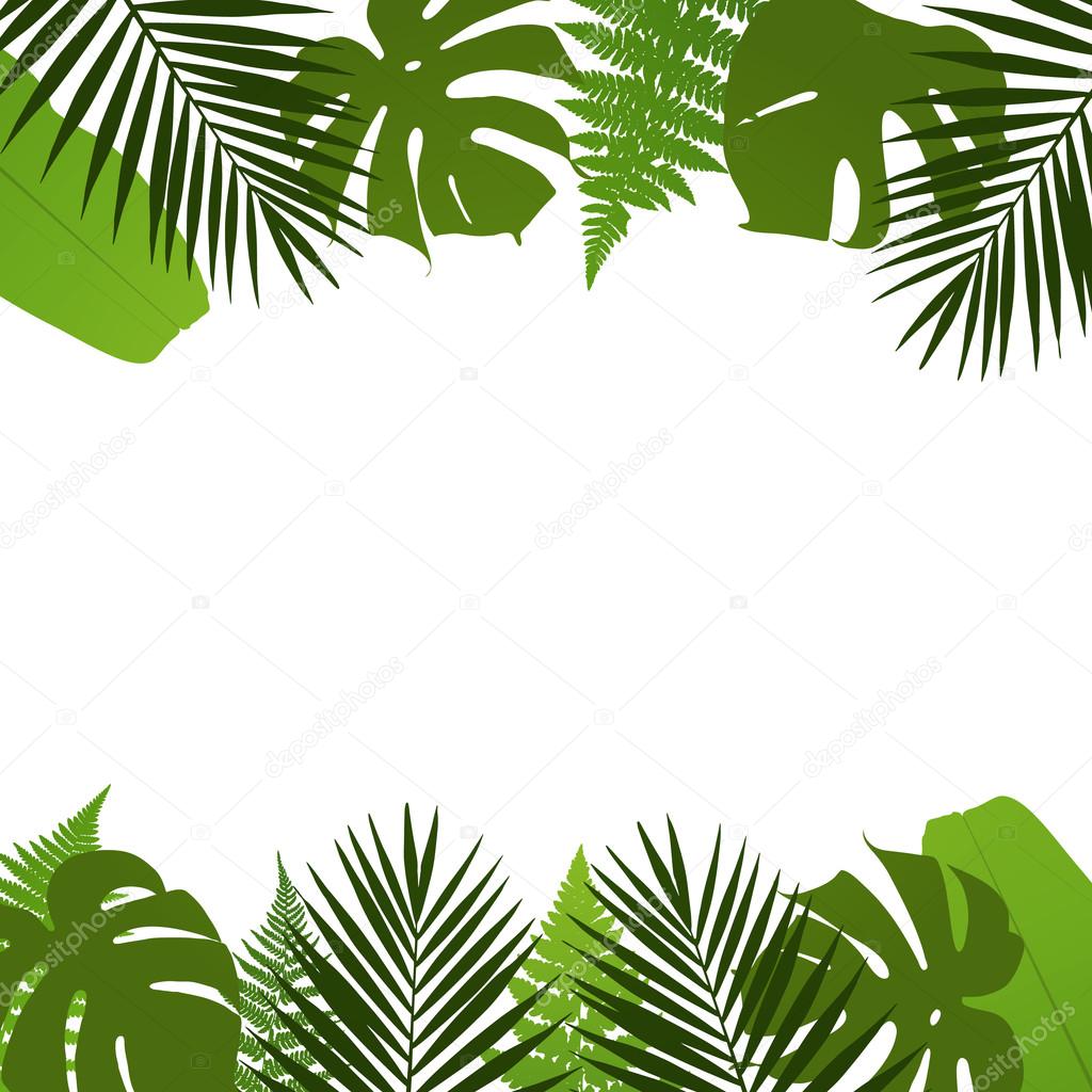 Tropical leaves background with palm,fern,monstera and banana leaves. Vector illustration