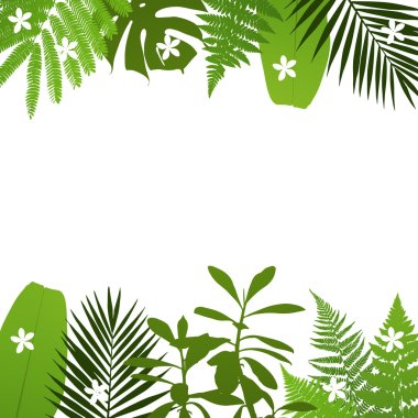 Tropical leaves background with palm,fern,monstera,acacia and banana leaves. Vector illustration