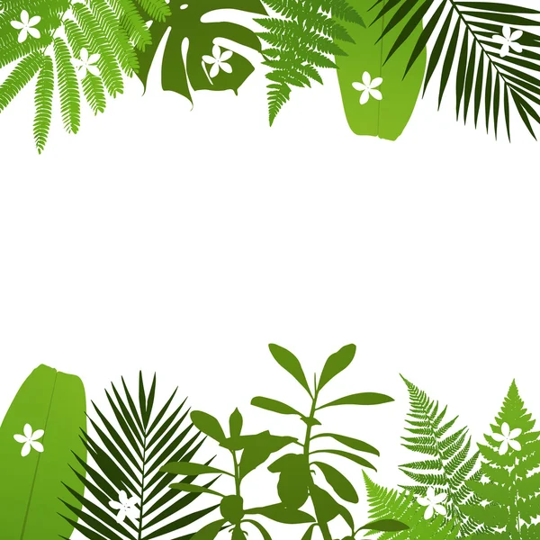 Тропічні листя фону з пальмами, пальмою, монестерою, какією та листям банана. Векторні ілюстрації Ліцензійні Стокові Ілюстрації