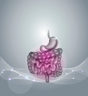 Gastrointestinal tract abstract design clipart
