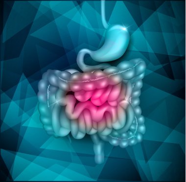 Gastrointestinal sistem soyut tasarım