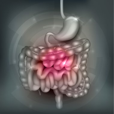 Gastrointestinal sistem soyut tasarım
