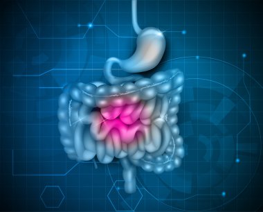 Gastrointestinal sistem soyut tasarım
