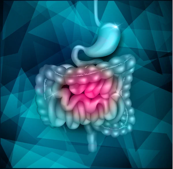 胃肠道抽象设计 — 图库矢量图片